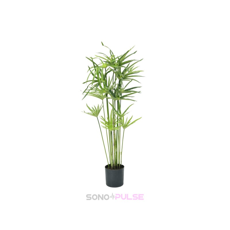 Location Cyperus, artificiel, 76 cm