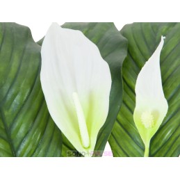 Location Spathiphyllum deluxe, artificiel, 83 cm